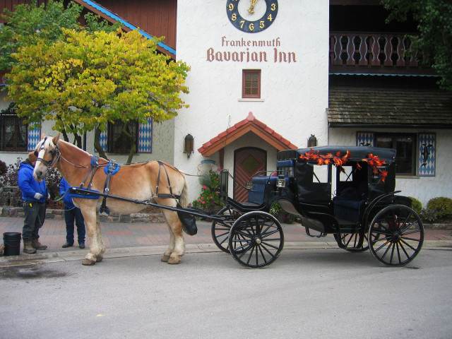 Frankenmuth Carriage Company